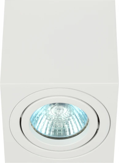 OL22 WH Точечный светильник ЭРА OL22 WH (220V)