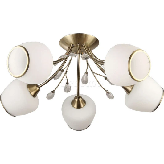 TC-110-405 Collezioni Rumba TC-110-405