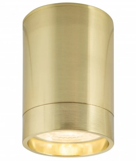 DK2050-BS Накладной точечный светильник Denkirs DK2000 DK2050-BS