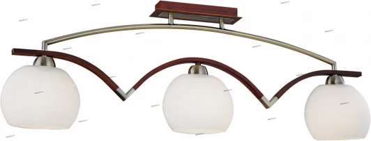 SL196.332.03 Потолочный светильник ST Luce SL196 SL196.332.03
