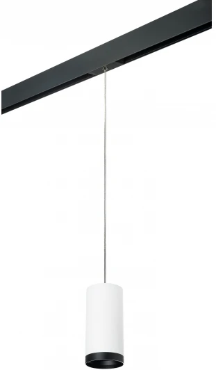 PRORP64863487 Трековый светильник однофазный 220V Lightstar Rullo PRORP64863487 (круглые)