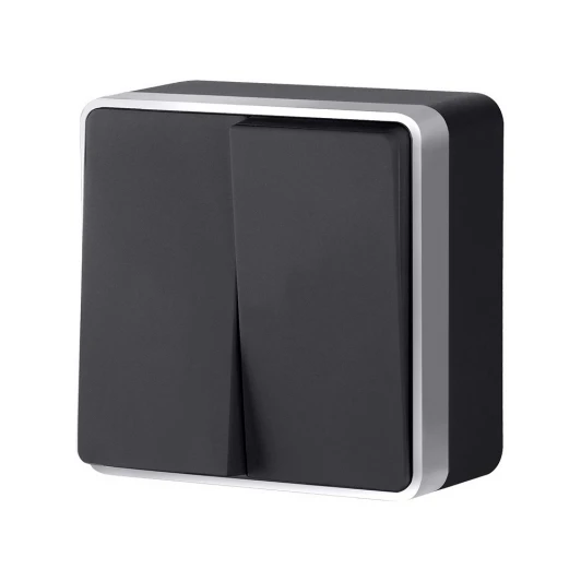 W5020034 Выключатель двухклавишный Gallant Werkel W5020034 (черный с серебром)