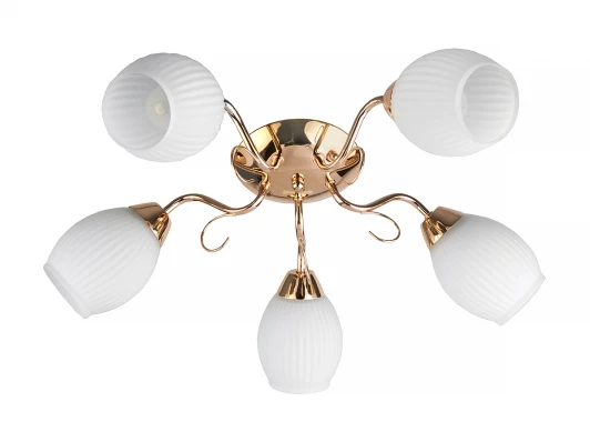 TL3520X-05FG Потолочная люстра Toplight Kristin TL3520X-05FG