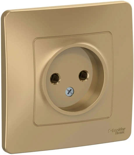 BLNRS000014 Розетка встраиваемая без заземления (титан) Systeme Electric Blanca BLNRS000014