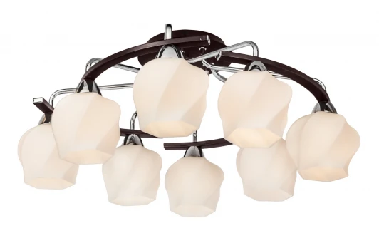 228.59.8 Потолочная люстра Silver Light Aranda 228.59.8