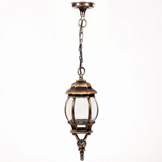 83405S Gb Уличный светильник подвесной Oasis Light 83405S Gb (220V, на цепи, IP44)