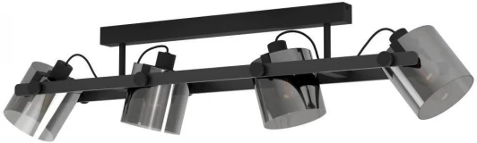 43671 Спот Eglo Hornwood 2 43671