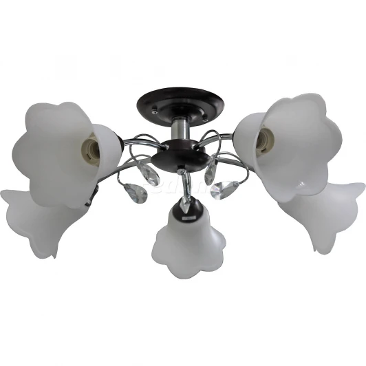 TC-995-205 WG Люстра потолочная Toscom Casti, 5 плафонов, венге с хромом, белым и прозрачным