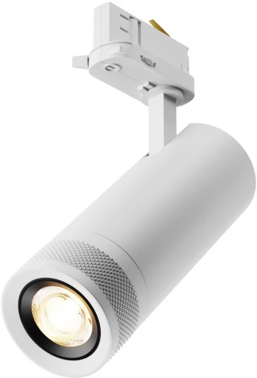 TR198-3-20W2.7K-Z-W Трековый светильник трехфазный 20W 220V Maytoni Focus Zoom TR198-3-20W2.7K-Z-W (LED, круглые)