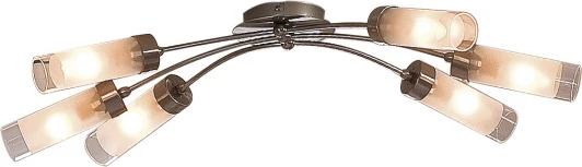 CL102161 Потолочная люстра Citilux Ovale CL102161