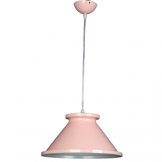 PNL.005.300.15 Подвесной светильник Image PNL.005.300.15