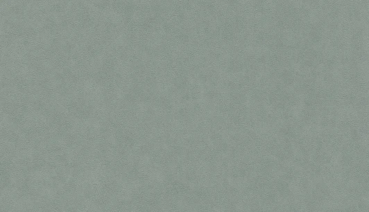 BN 220508 Обои виниловые BN International Grand Safari BN 220508 10,05 x 0,53 м