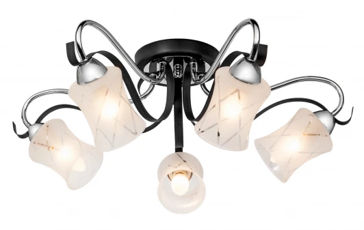 214.59.5 Потолочная люстра Silver Light Mary 214.59.5