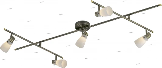 2065/5C Спот Odeon Light Terza 2065/5C