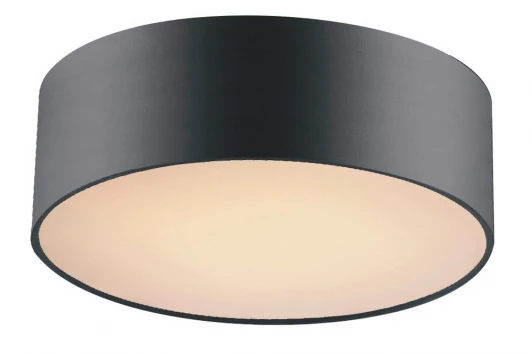 1514-2C1 Потолочный светильник Favourite Cerchi 1514-2C1