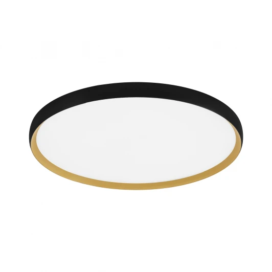 SLE1810-402-01 Потолочный светильник Evoluce Helst SLE1810-402-01 Черный, золотистый/белая LED 1*42W 4000K