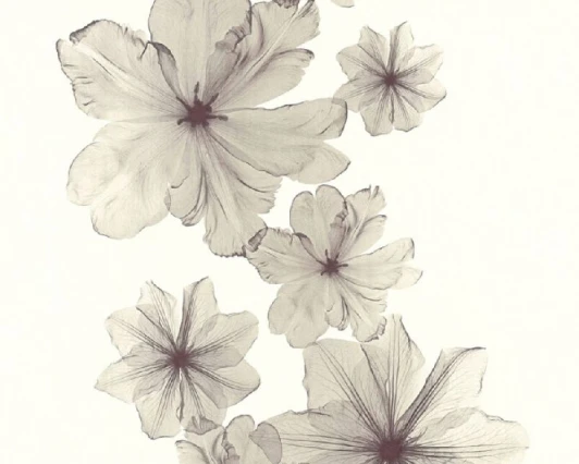 34272-2 Обои виниловые A.S. Creation X-Ray 34272-2 10,05 x 0,53 м