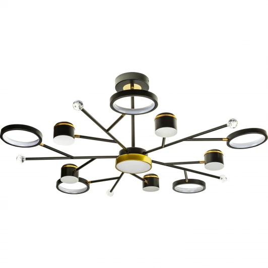 51596 2 Потолочная люстра на штанге светодиодная Ritter Notte 51596 2