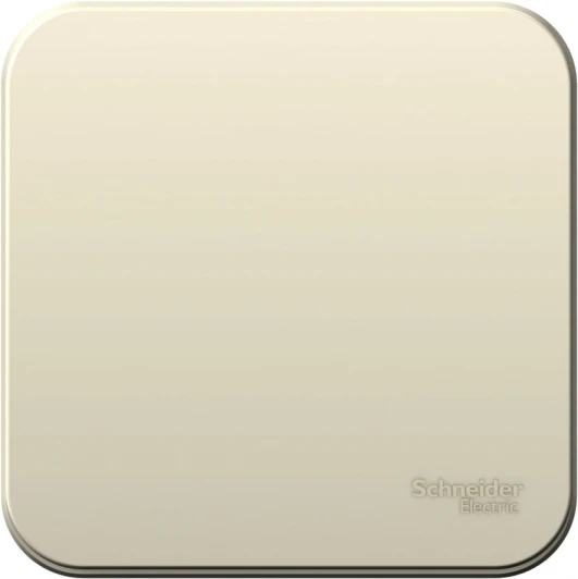 BLNVA061012 Выключатель накладной одноклавишный (молочный) Systeme Electric Blanca BLNVA061012