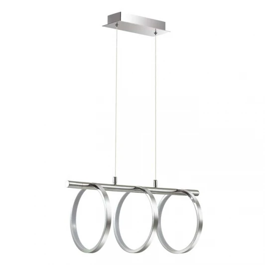 3970/48L Подвесной светильник Odeon Light Ringgi 3970/48L