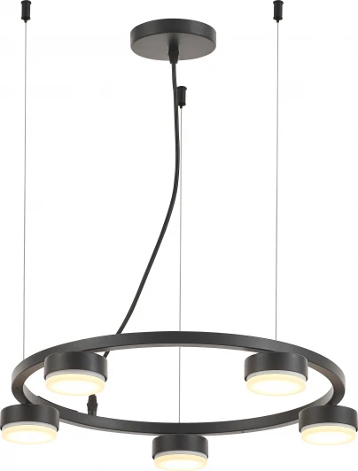 4136-305 Подвесной светильник Rivoli Leontina 4136-305 (220V, на тросе)