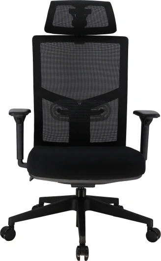 EP Fuji M Black Эргономичное кресло Everprof Fuji Сетка Черный
