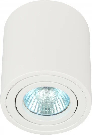 OL21 WH Точечный светильник ЭРА OL21 WH (220V)