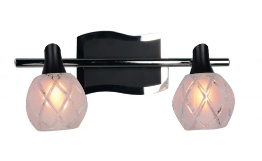 OML-21801-02 Спот Omnilux OML-218 OML-21801-02