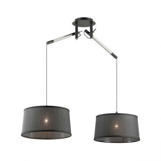 4159/2 Подвесной светильник Odeon Light Loka 4159/2