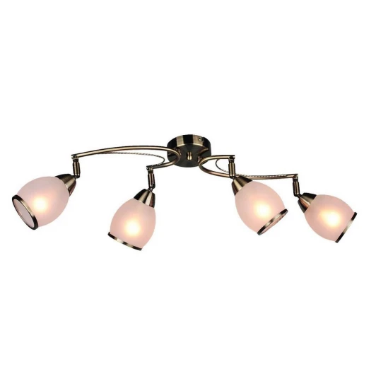 OML-35121-04 Потолочная люстра Omnilux Autunois OML-35121-04
