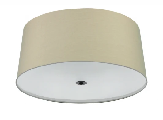 5214 Потолочный светильник Mantra Argi 5214