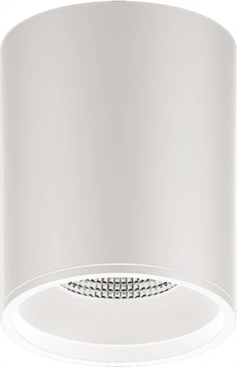 HD030 Накладной потолочный светильник Gauss HD030 12W 3000K (LED, 220V, круглые)