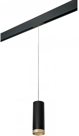 PRORP48740 Трековый светильник однофазный 220V Lightstar Rullo PRORP48740 (круглые)