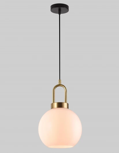 F2824-31 Подвесной светильник Alfa Light F2824-31 (220V, на проводе, шар)