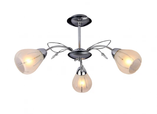 203.54.3 Потолочная люстра Silver Light Aisance 203.54.3