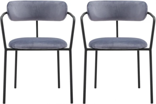 FR 0370P Комплект из 2-х стульев Bradexhome Ant серый
