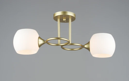 000065842 Потолочная люстра на штанге SL8390-2 GD Мелодия Света SL1N 000065842