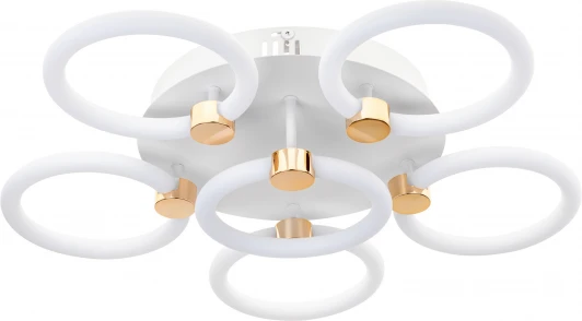 51639 6 Потолочная люстра светодиодная с ДУ Ritter Ottimo 51639 6