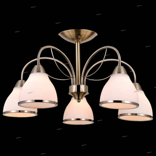 75048/5C ANTIQUE Natali Kovaltseva 75048 75048/5C ANTIQUE