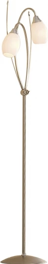 CL108921 Торшер Citilux Kometa CL108921