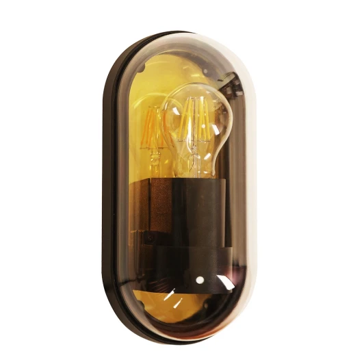 A2481AL-1GO Настенный уличный светильник Arte Lamp A2481AL-1GO (220V, IP65)