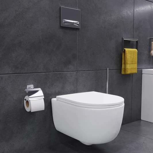 DX86C1700SC Унитаз подвесной Damixa Sirius DX86C1700SC с микролифтом