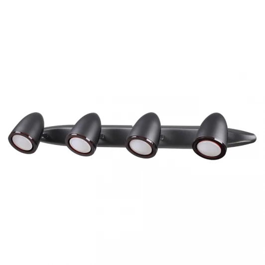 3824/4W Спот Odeon Light Imagio 3824/4W