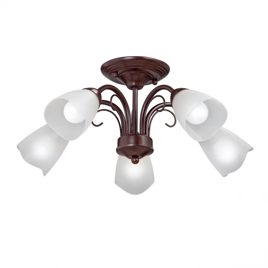 V3878-7/5PL Потолочная люстра Vitaluce V3878-7/5PL (220V)