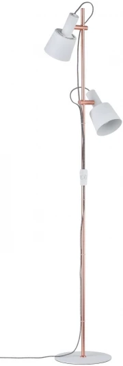 79660 Торшер Paulmann Haldar  79660