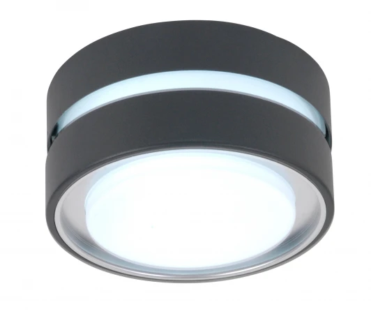 3351S Gr Потолочный светильник уличный Oasis Light 3351S