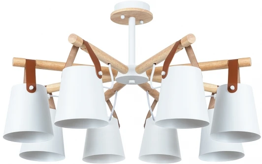 A7032PL-8WH Потолочная люстра на штанге Arte Lamp Thomas A7032PL-8WH (220V)