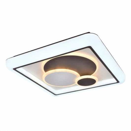 2458-5C Потолочный светильник F-Promo Lamellar 2458-5C