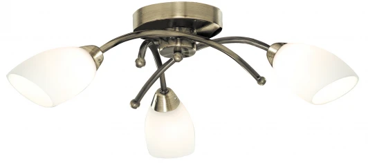 A8186PL-3AB Потолочная люстра Arte Lamp Opal A8186PL-3AB