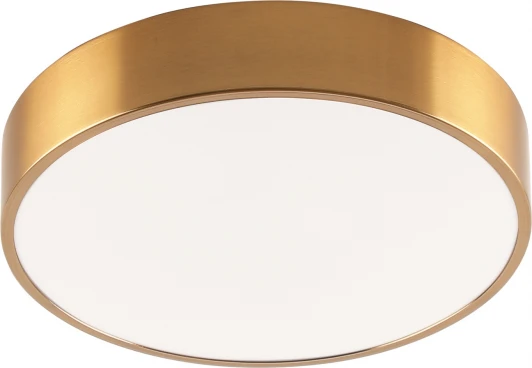 ZRS.02566.48 Потолочный светильник светодиодный Zortes Tortty ZRS.02566.48